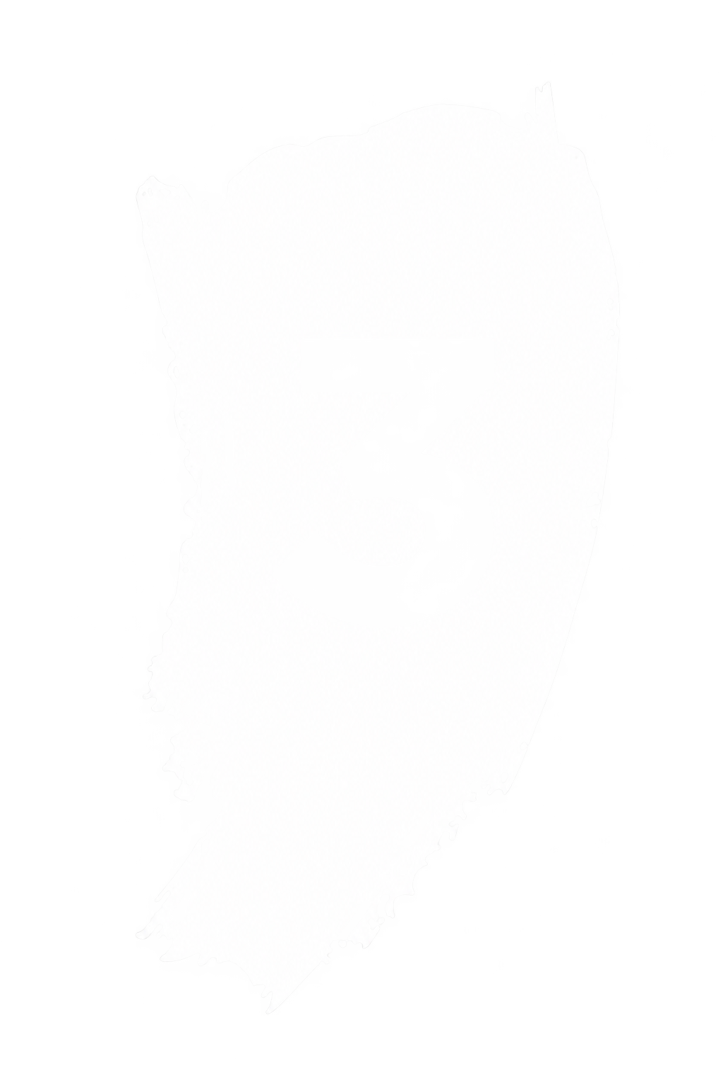 Mozart3 Logo